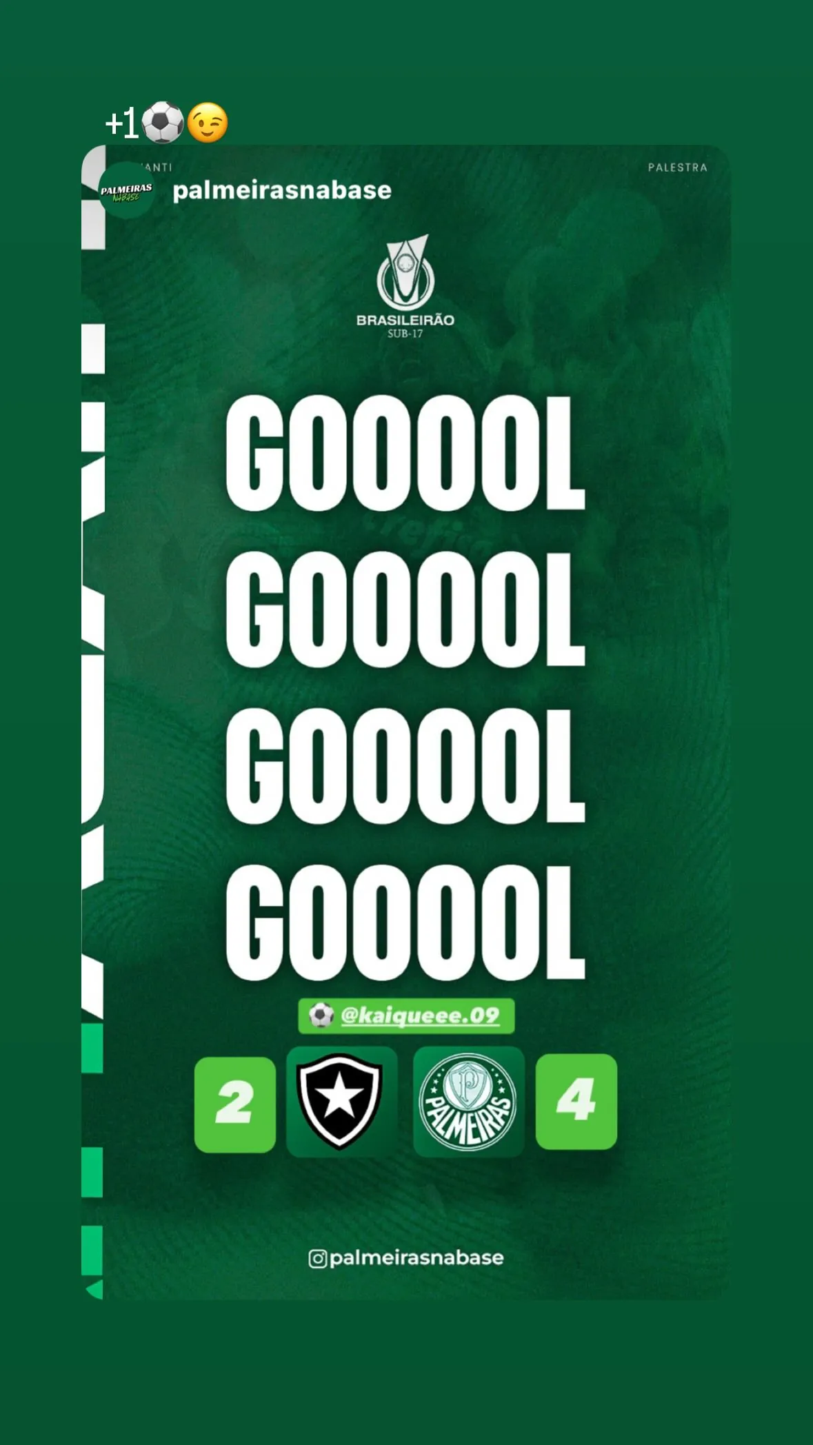 Kaique Gabriel da Conceição