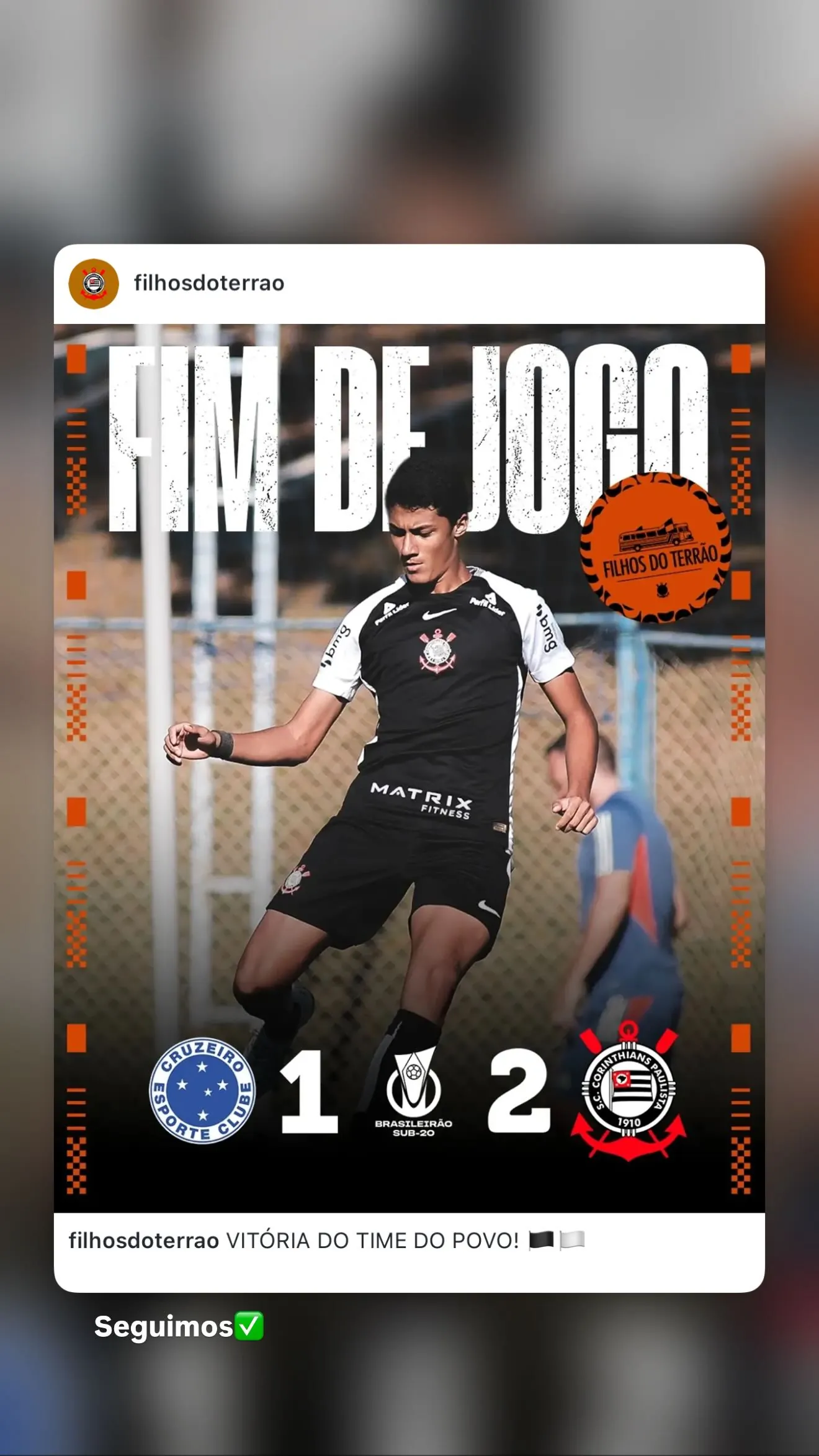 Cauã Ribeiro Silva Santos