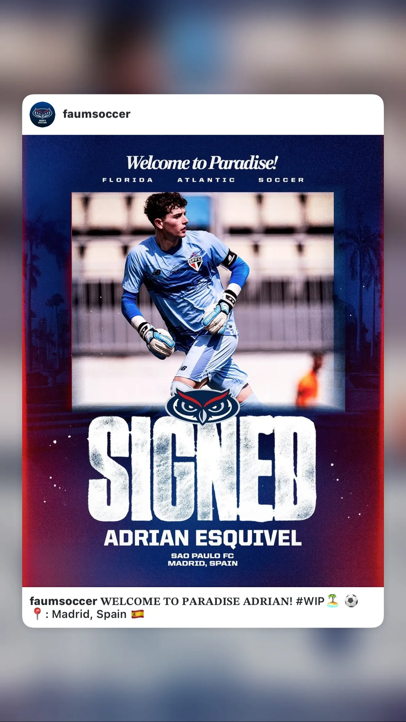 Adrian Esquivel Vilches