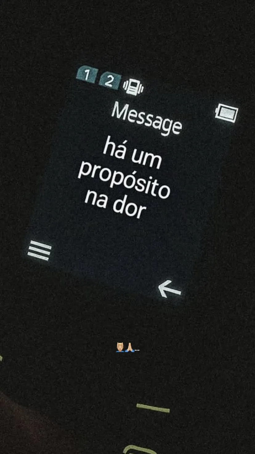 Joao Gabriel Alves Ladeira de Carvalho
