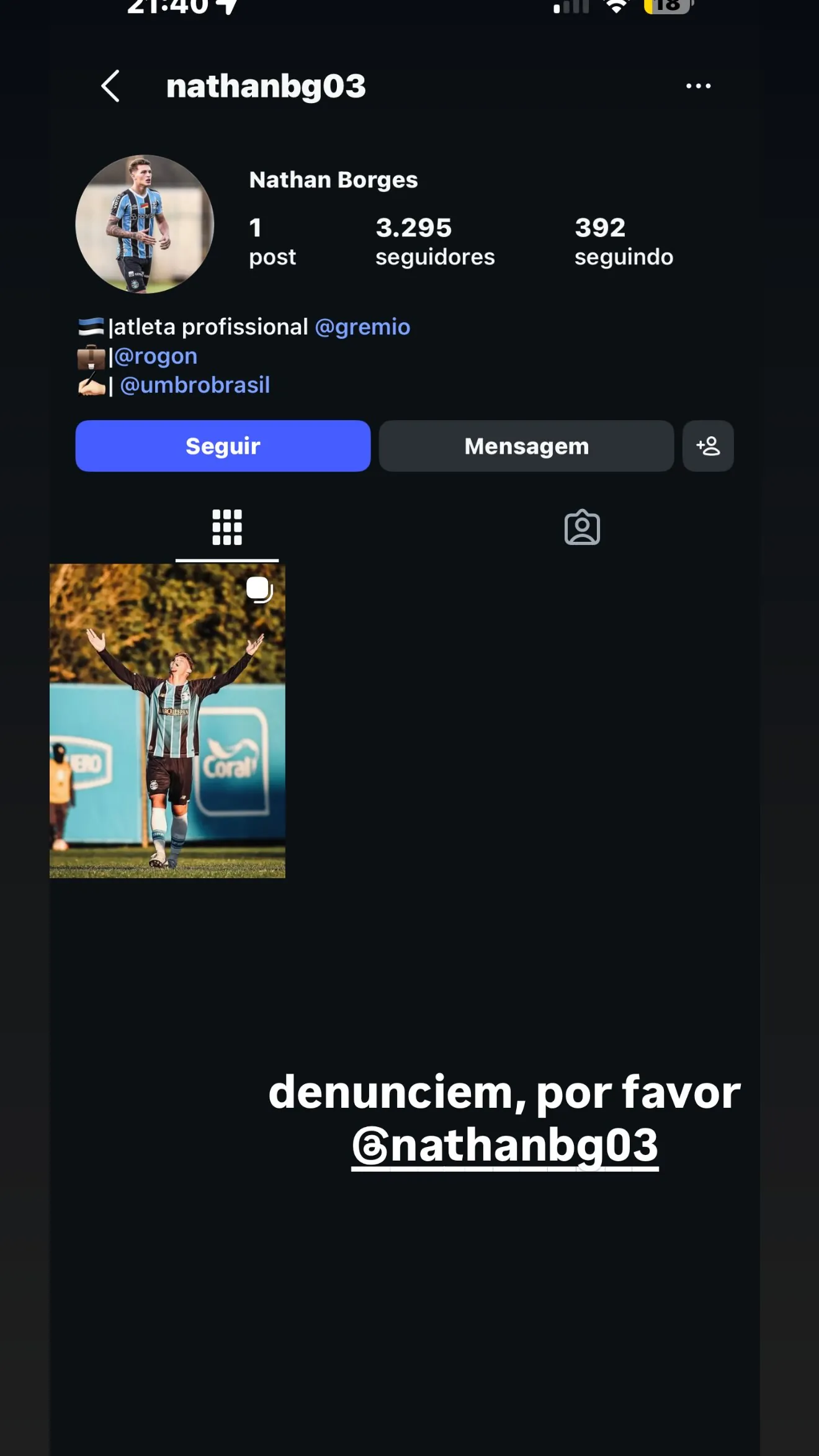 Nathan Borges Lembi Carniel