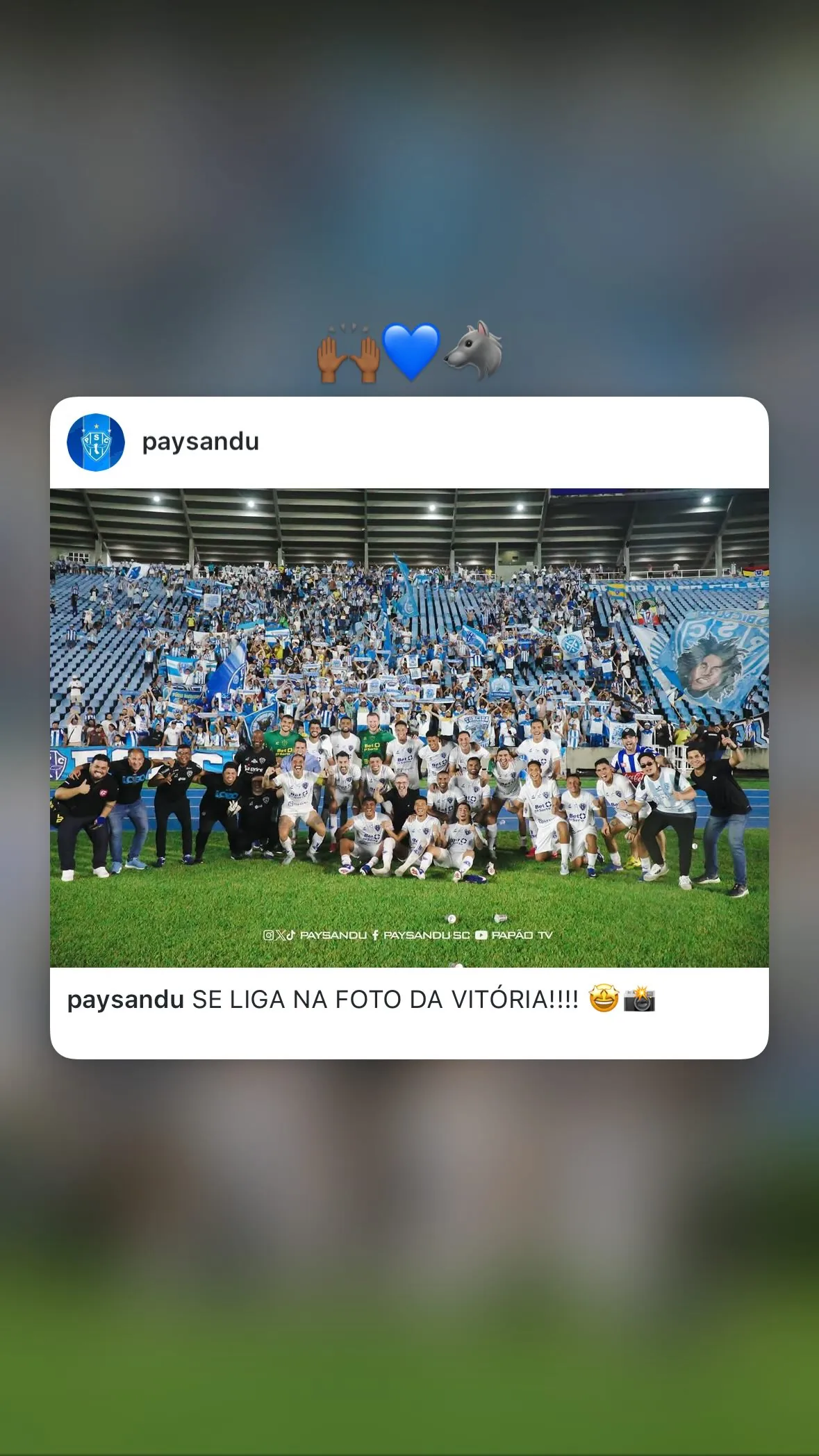 Iarley Brito Gonçalves