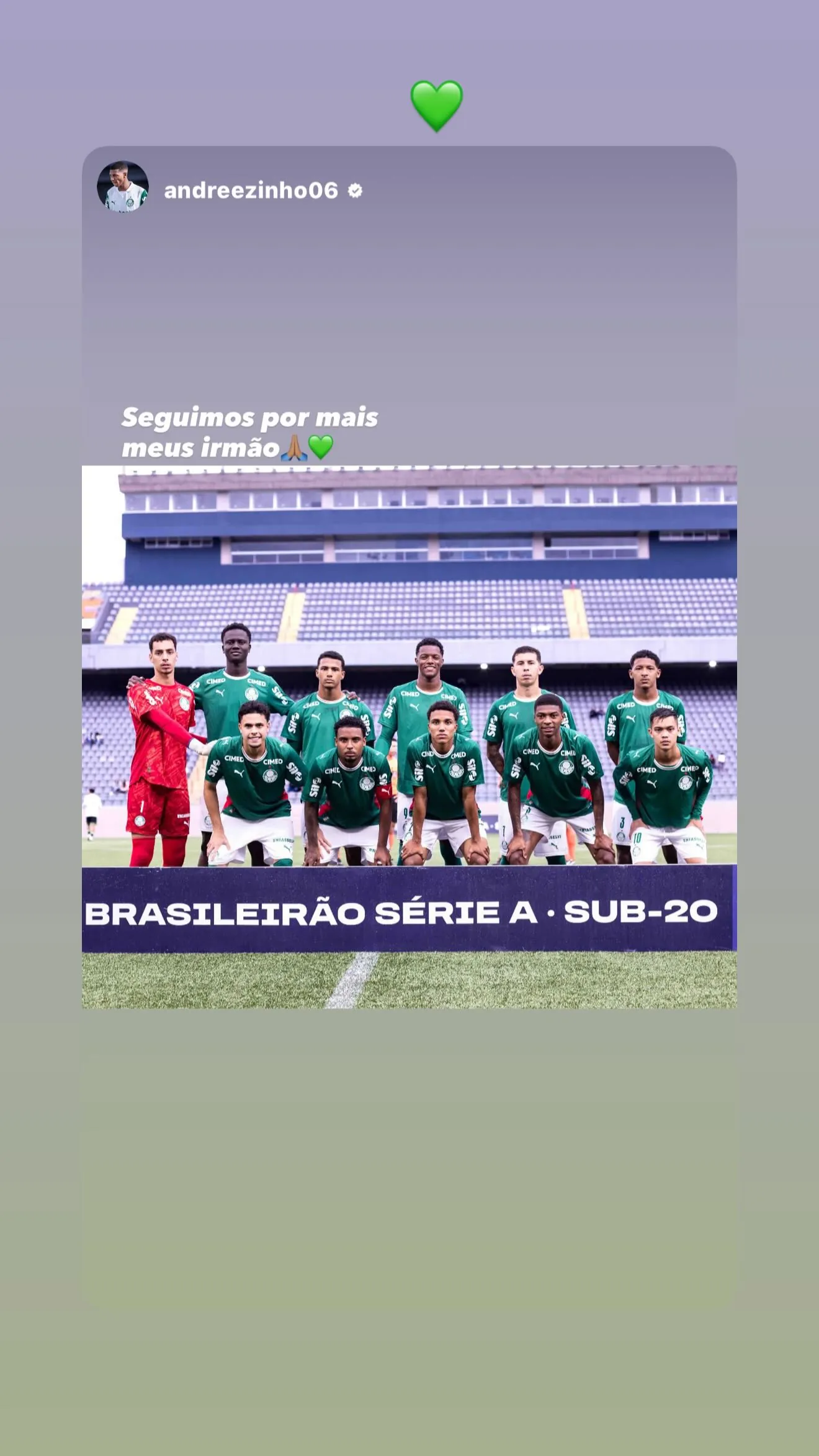 Victor Gabriel Leite dos Santos