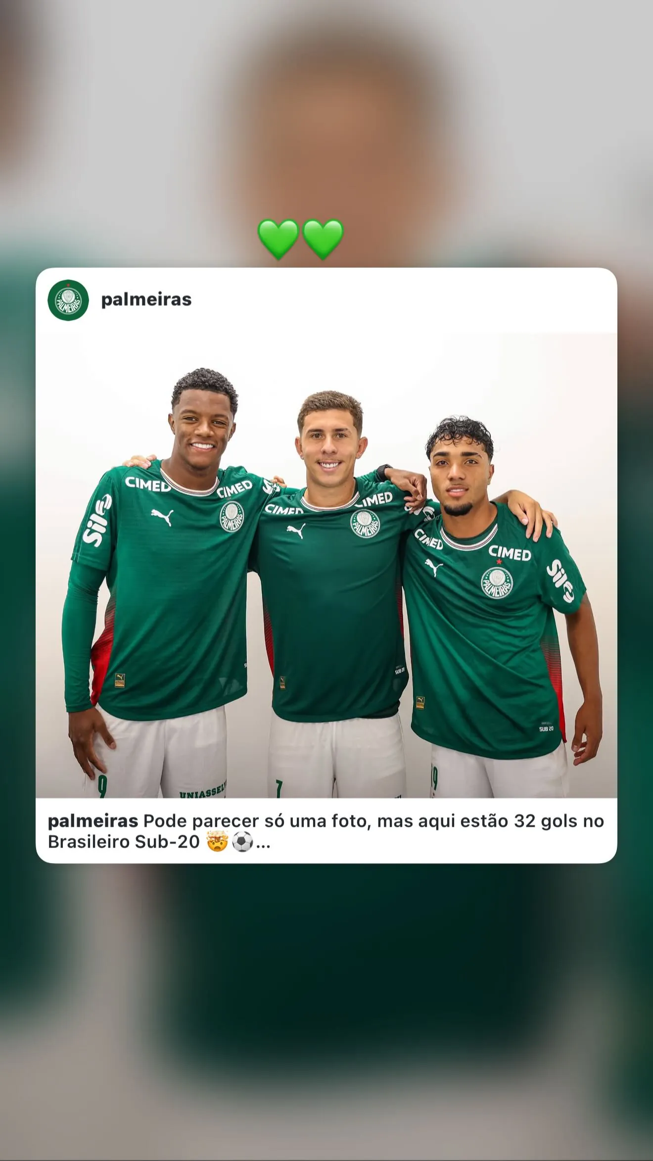 Victor Gabriel Leite dos Santos