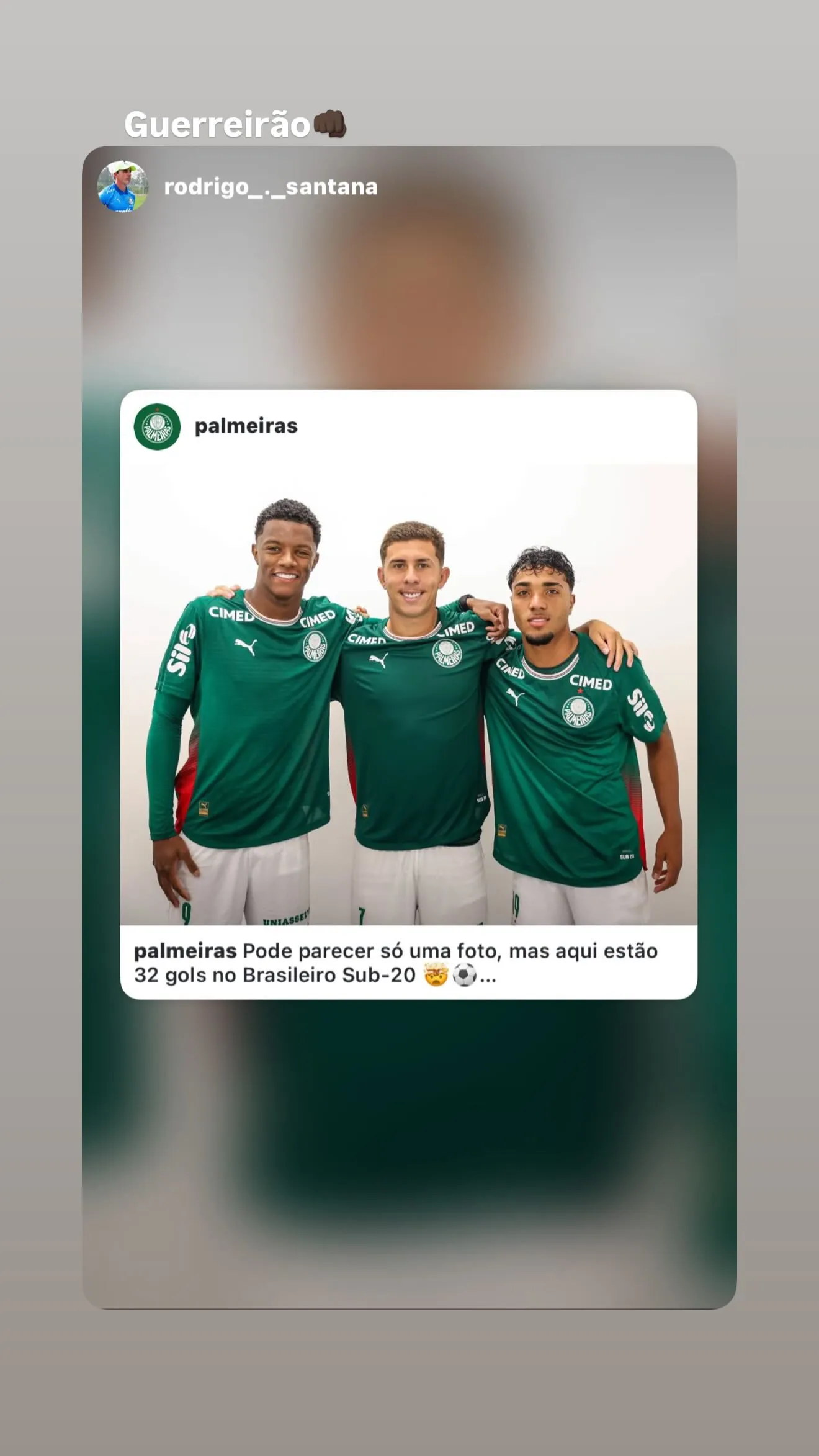 Victor Gabriel Leite dos Santos