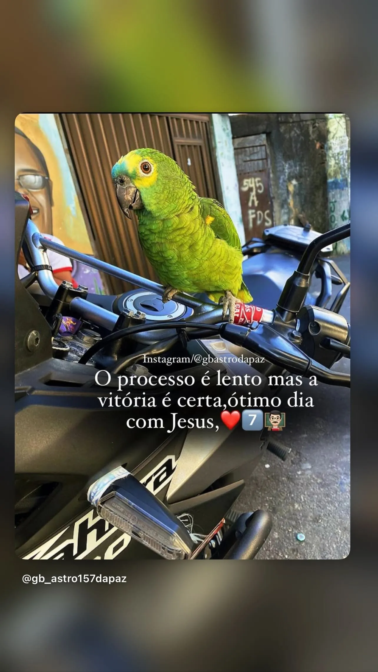 Tarick de Brito da Silva
