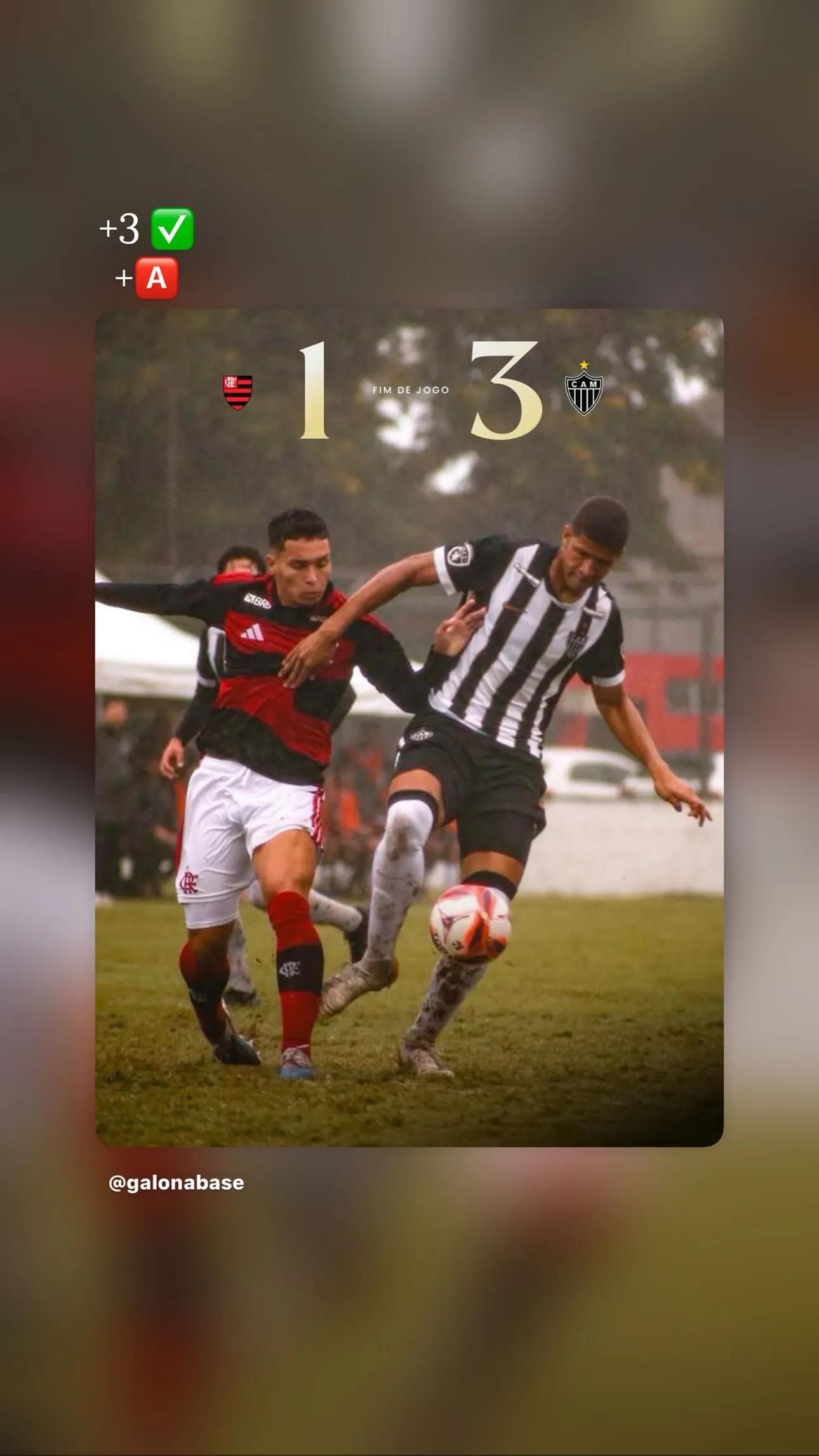 Guilherme Callegário Menezes