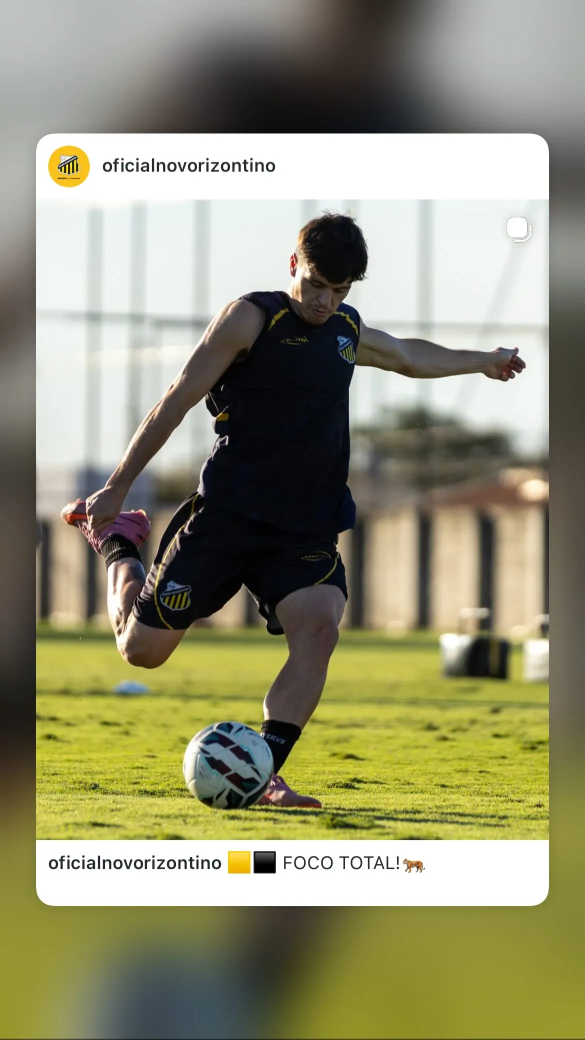 Miguel Tavares Contiero
