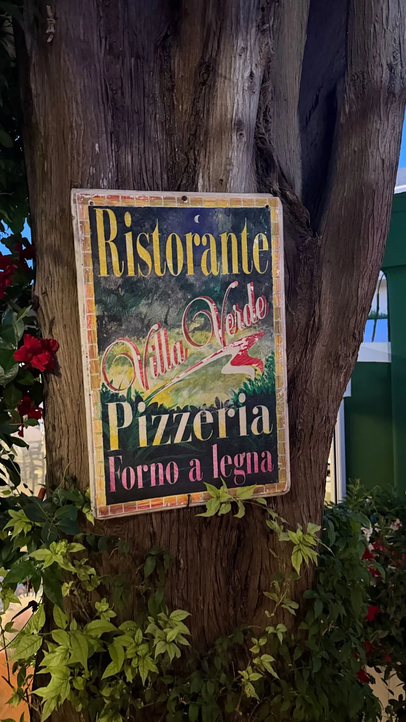 Breno Cascardo Lemos