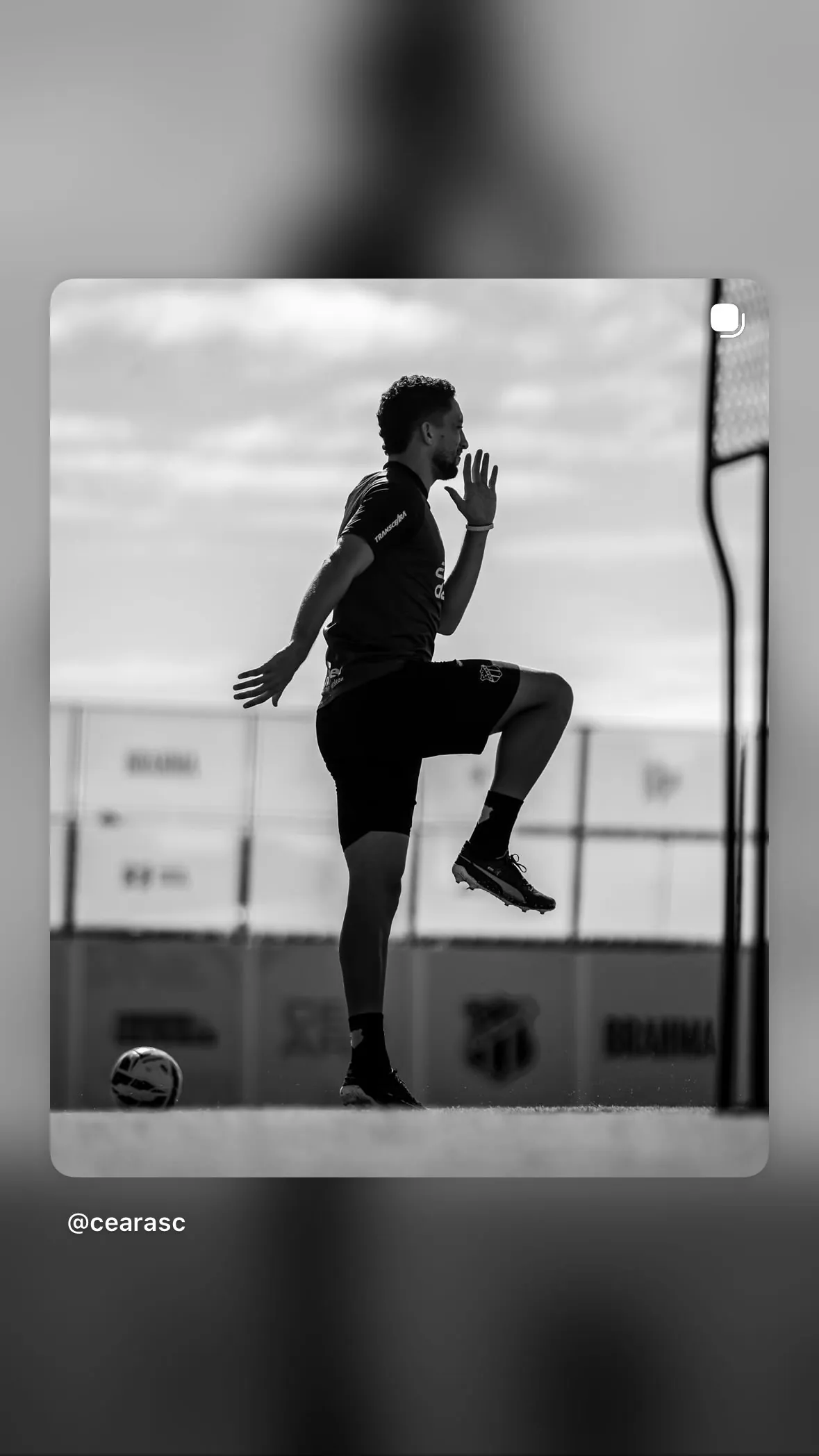 Júlio César Alves Go ...