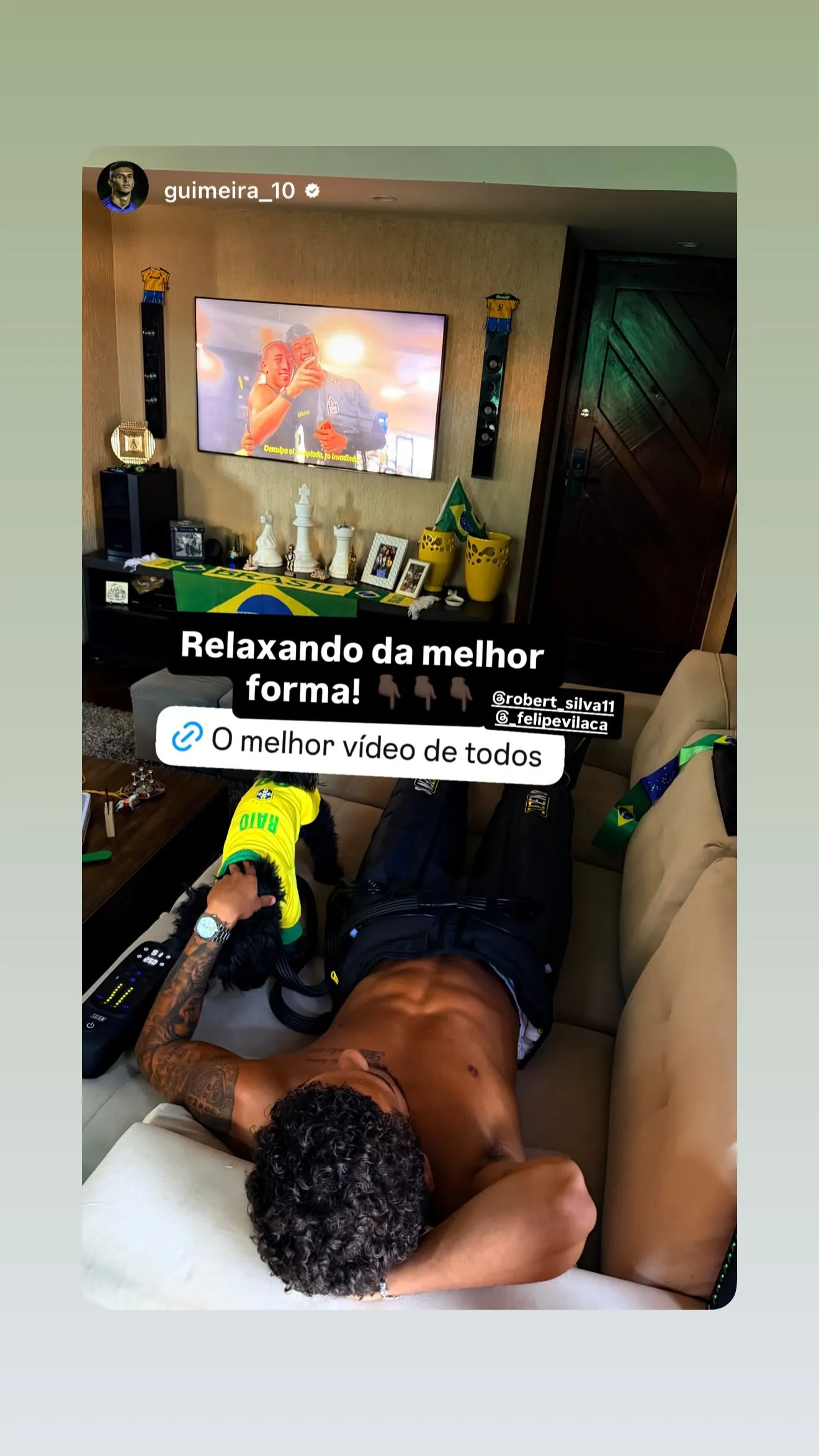 Robert Vinicius Rodrigues Silva