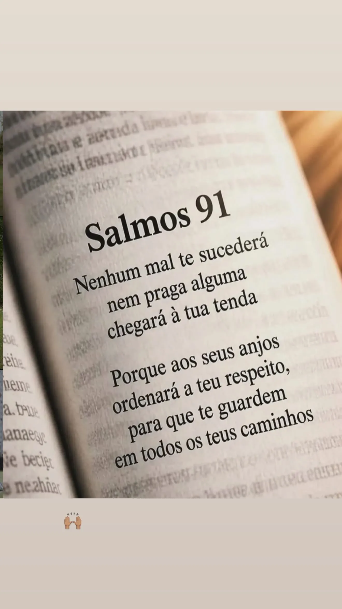Laercio Georges Gomes da Silva Filho