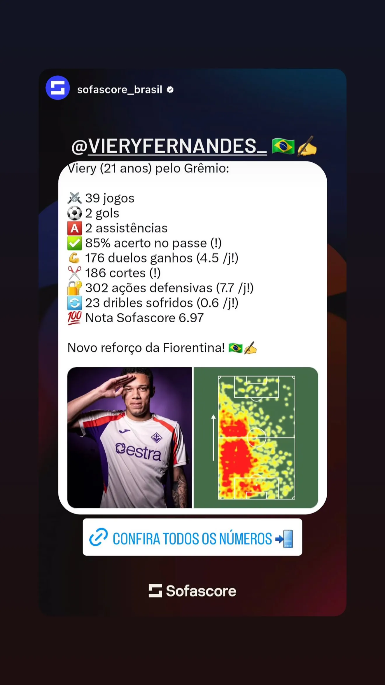 Viery Fernandes Sant...