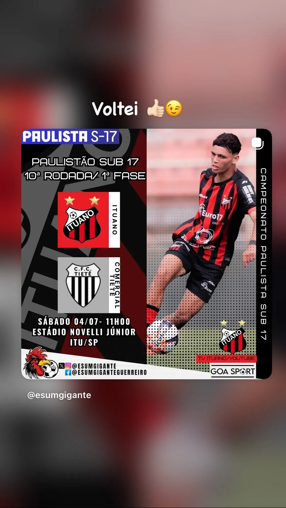 Thiago Henrique dos Reis Vilela