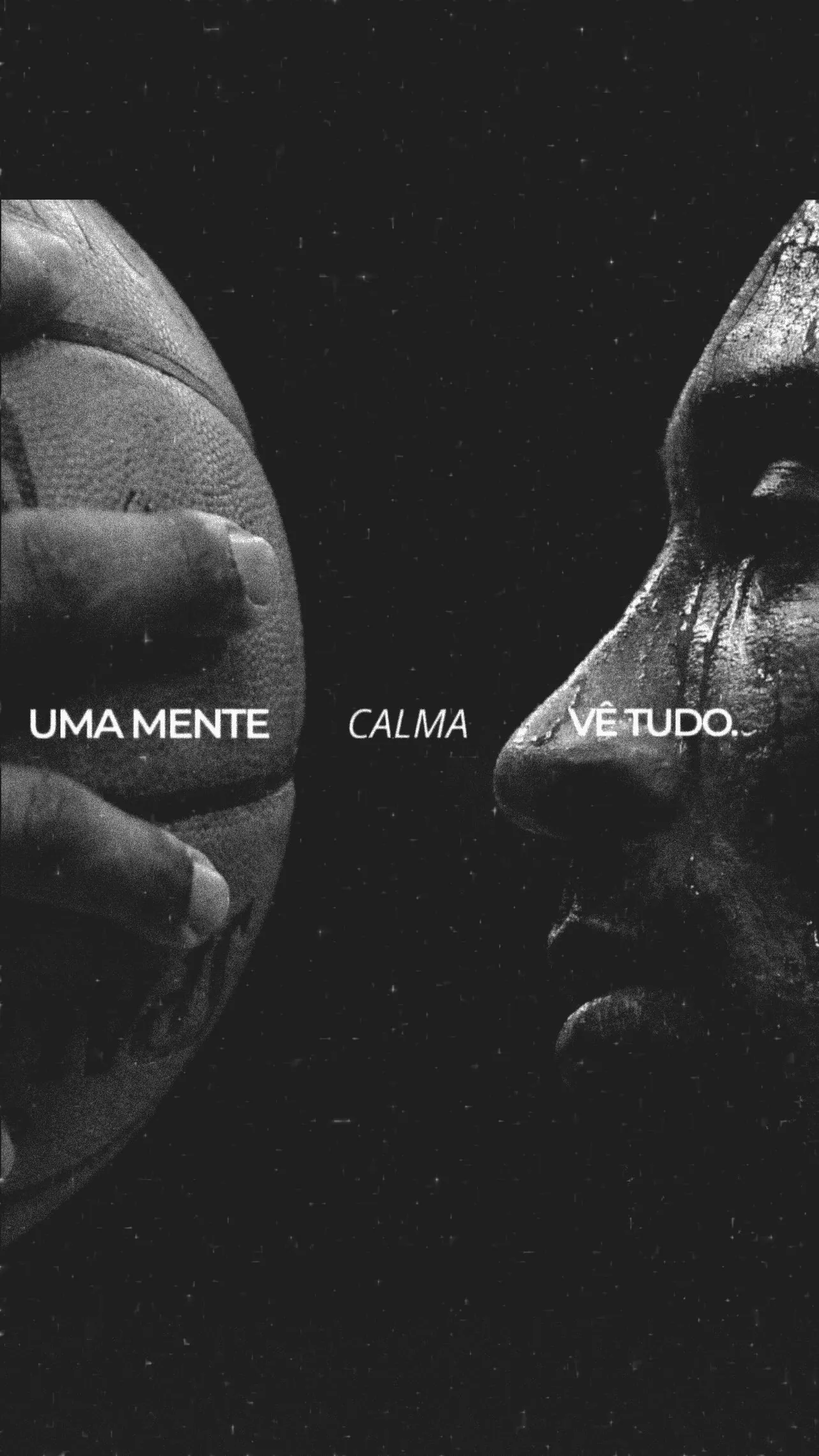 William da Silva Magiezi