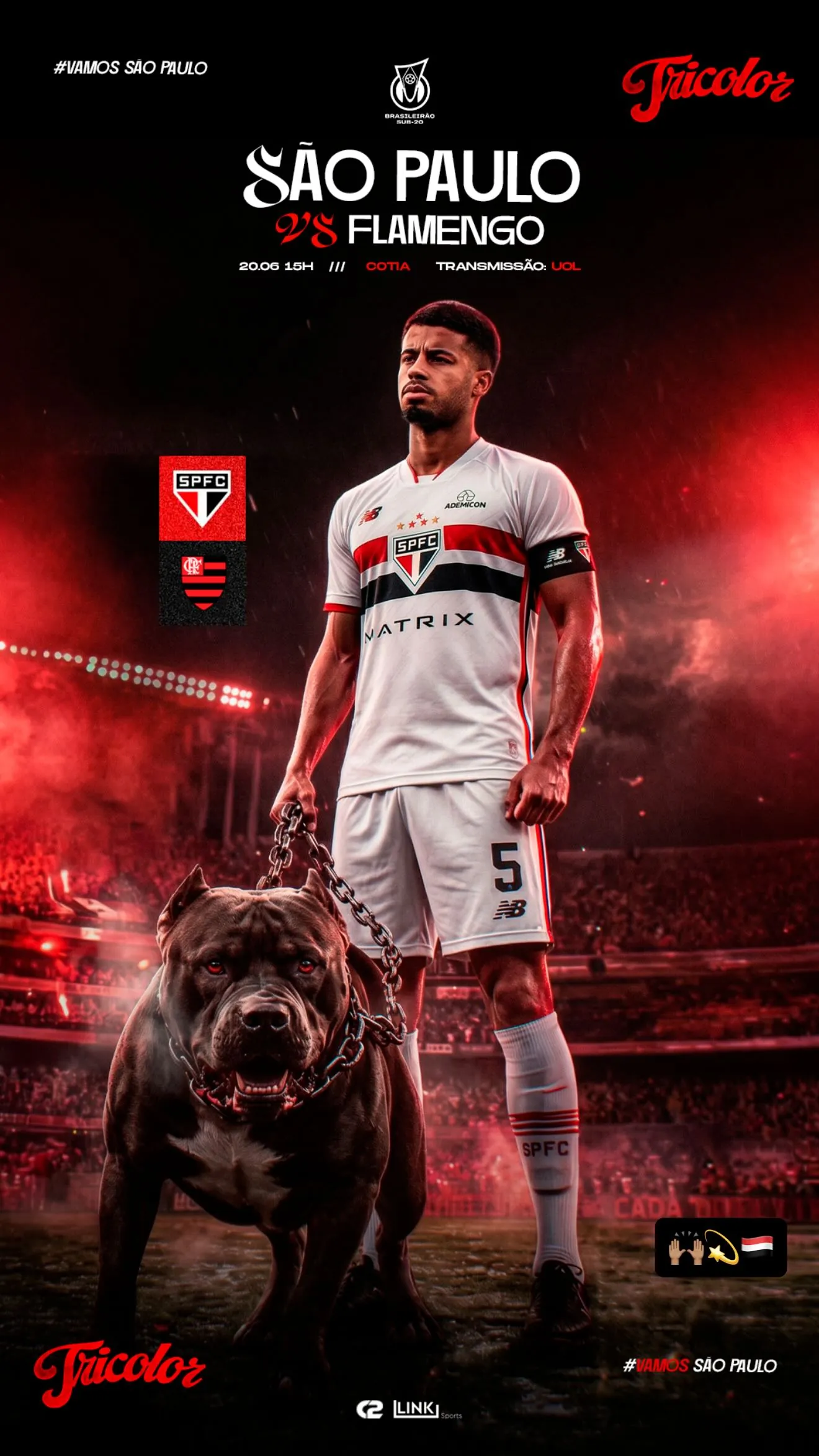 Matheus Ferreira Gomes