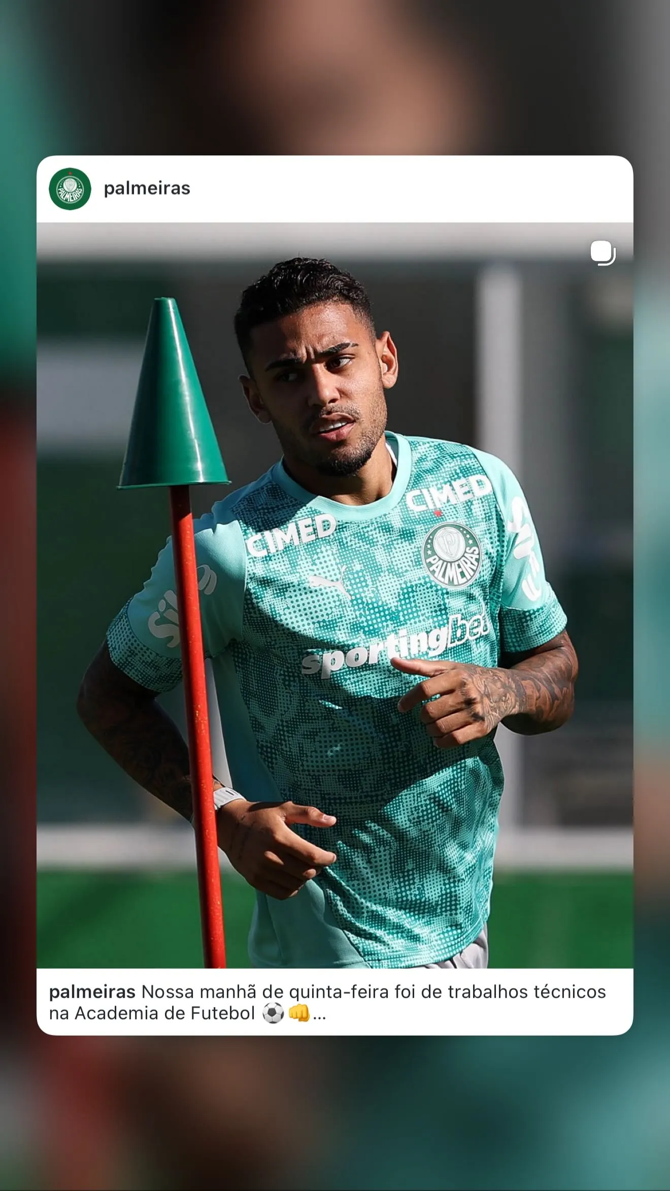 Riquelme Fillipi Marinho de Souza