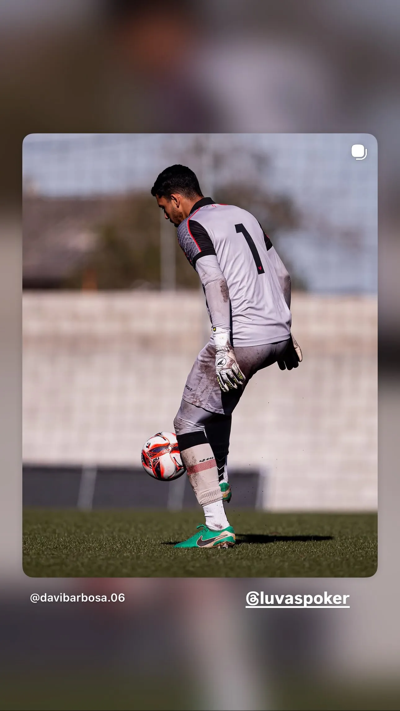 Davi Barbosa da Silva Novaes