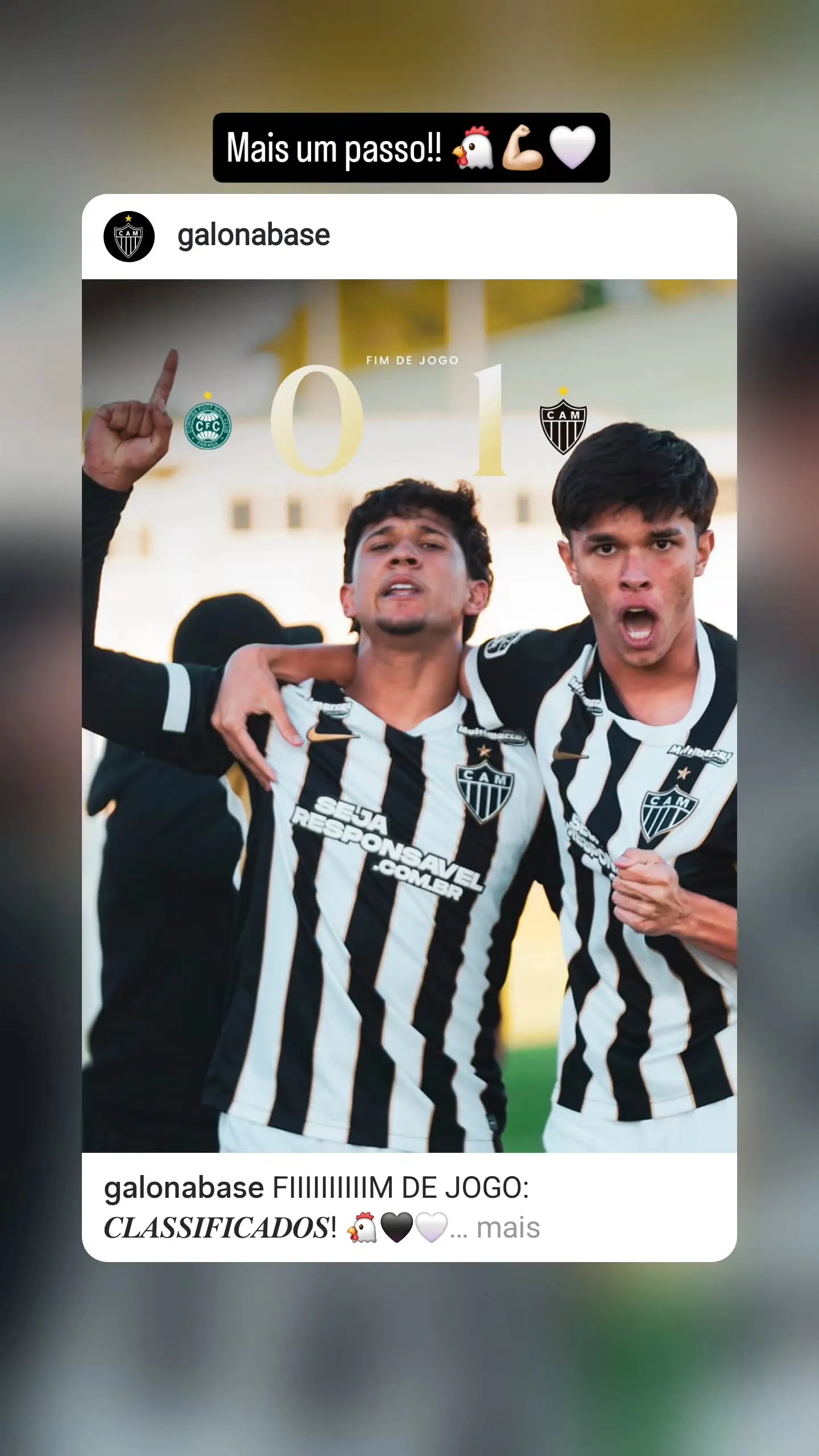 Pedro Cobra Rodrigues