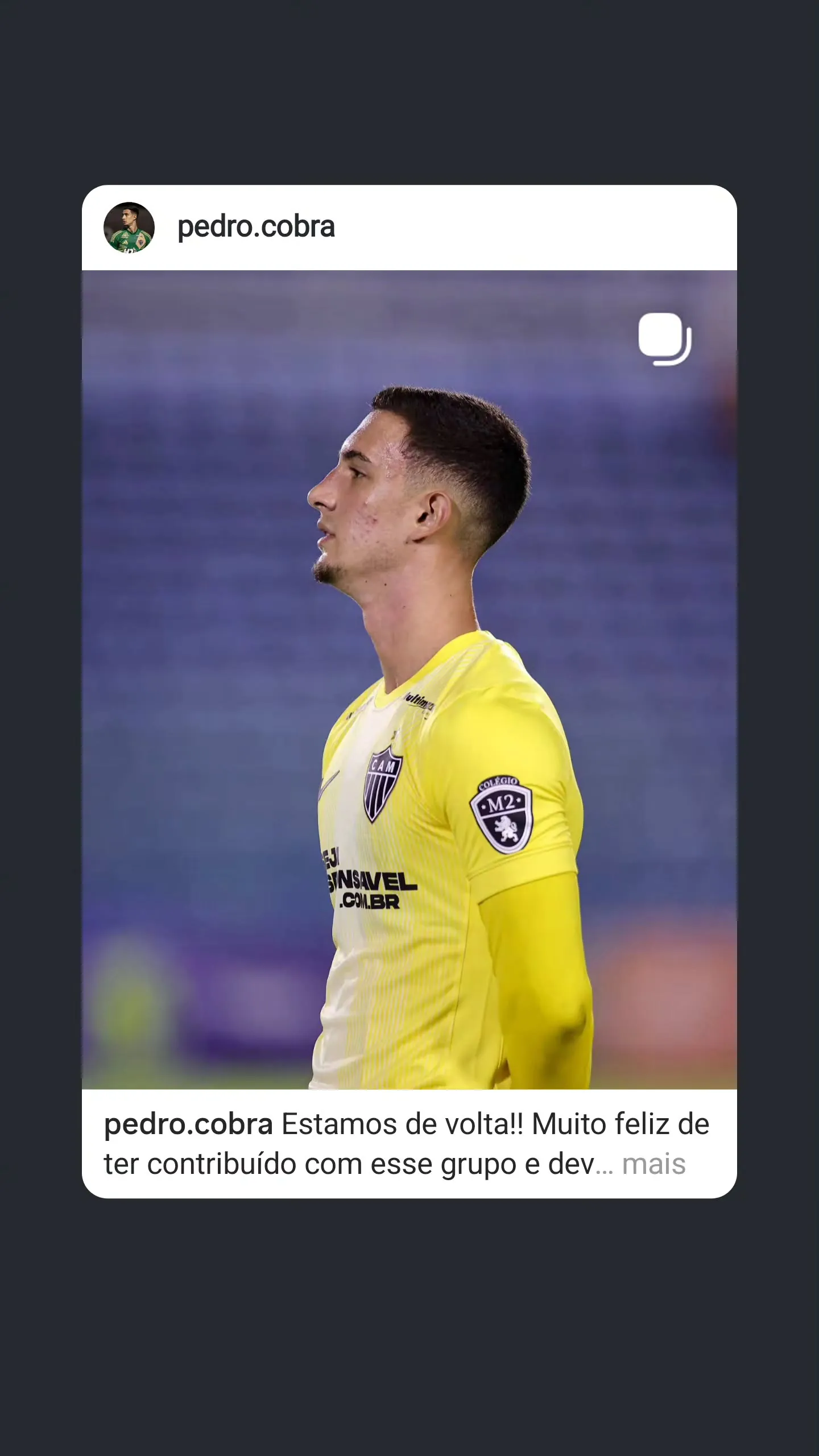 Pedro Cobra Rodrigues