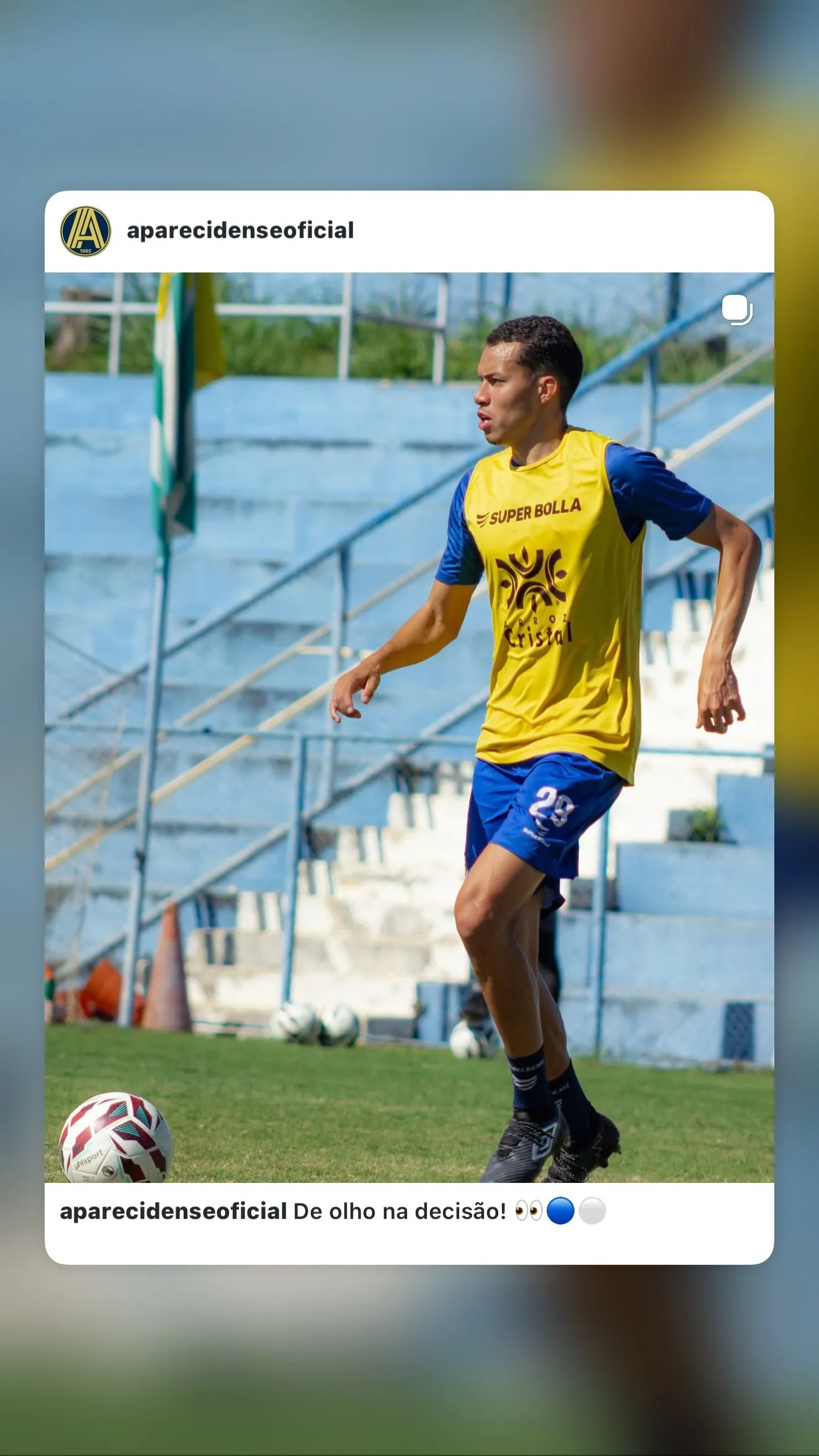 Felipe Alves Ribeiro