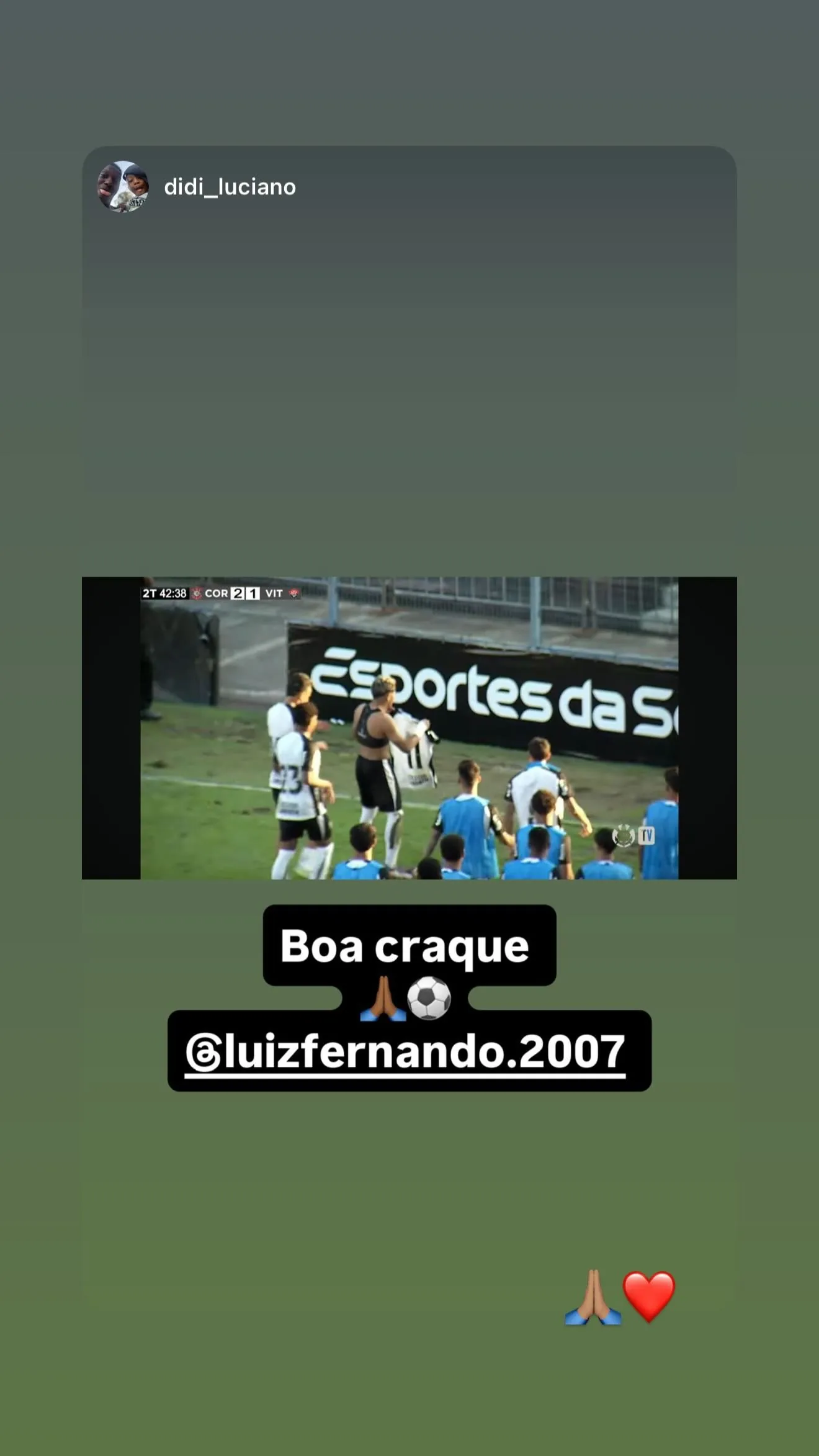 Luiz Fernando dos Santos de Nardi