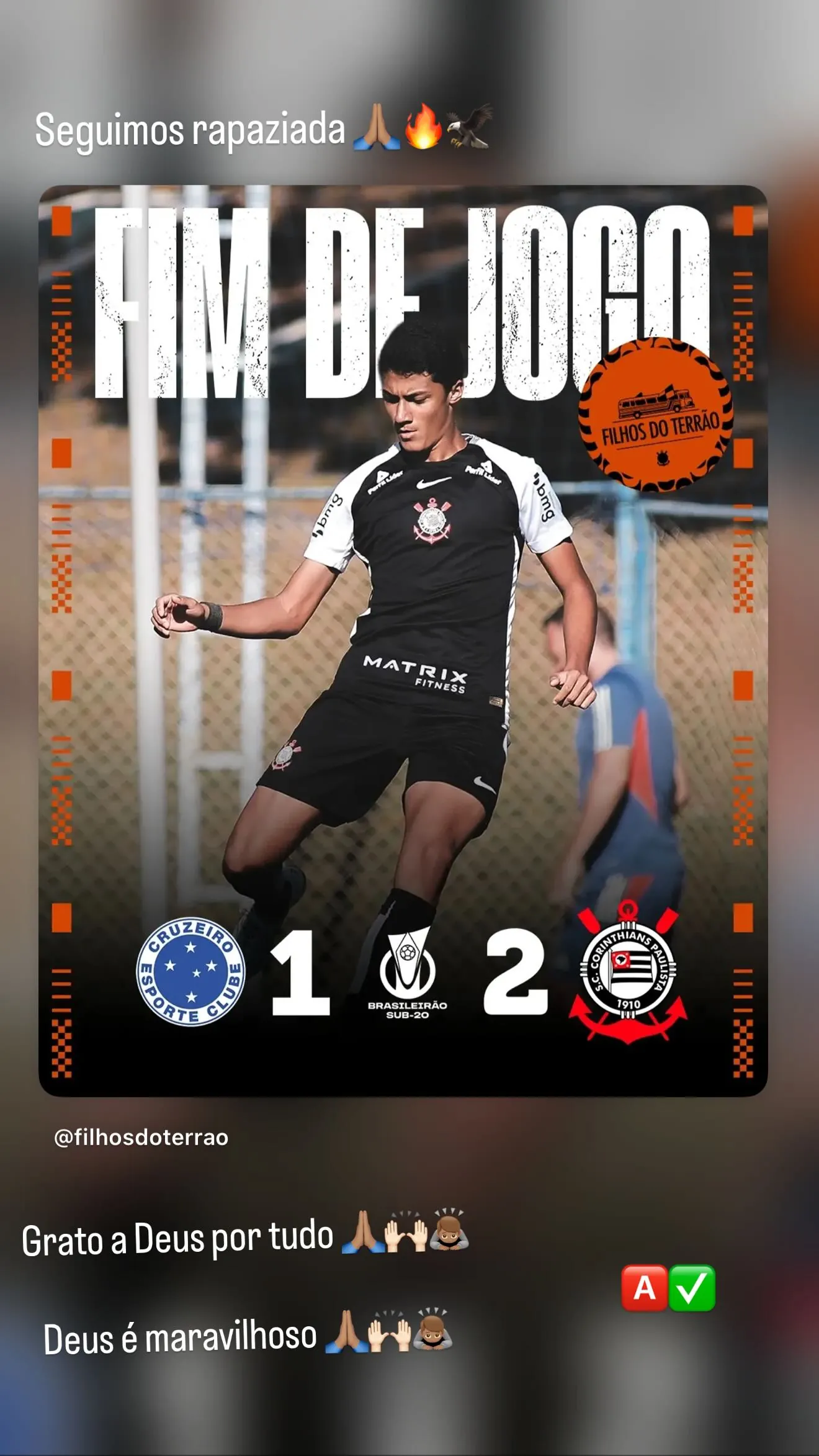 Luiz Fernando dos Santos de Nardi