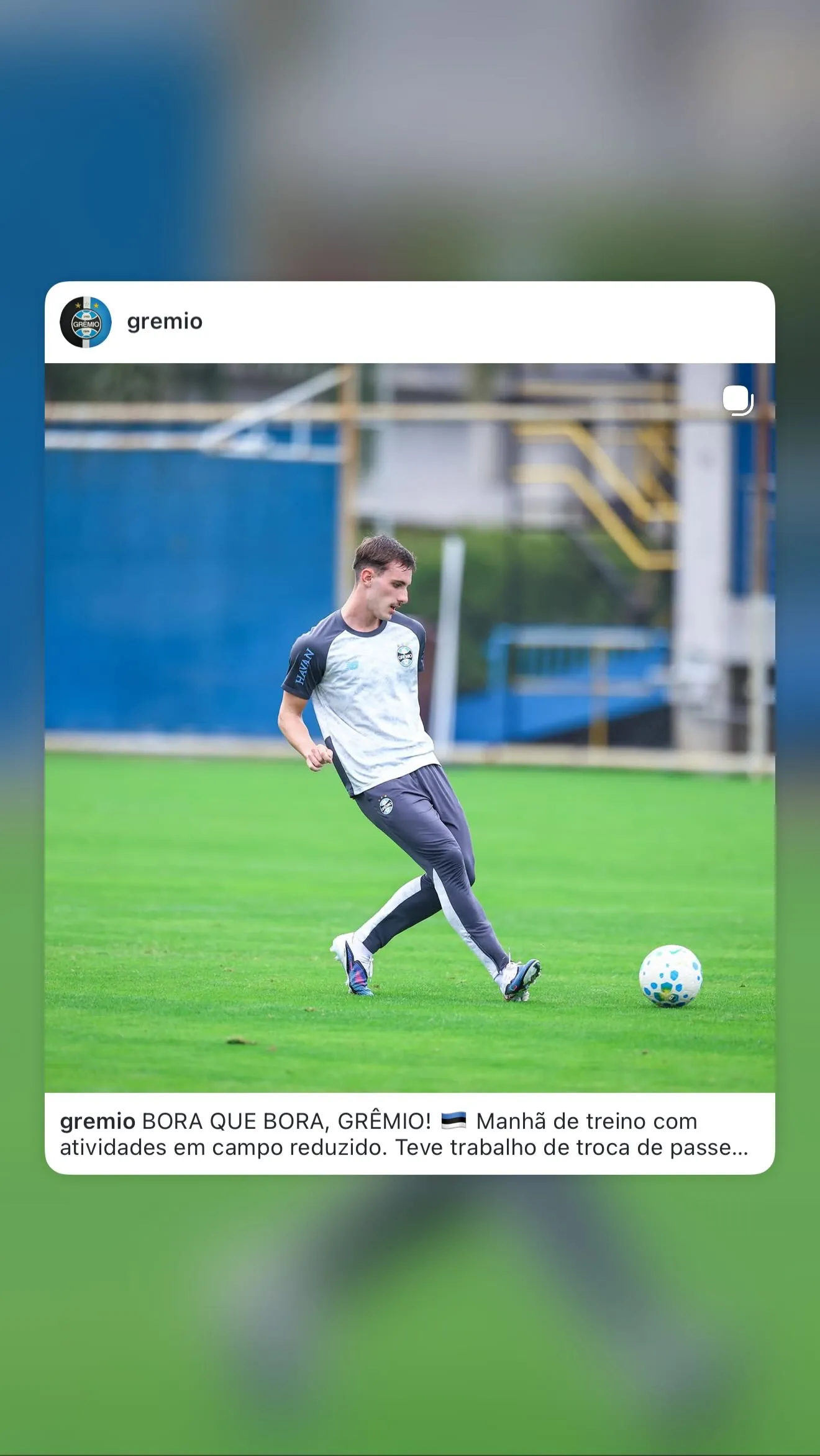 Bernardo Schons Zortea