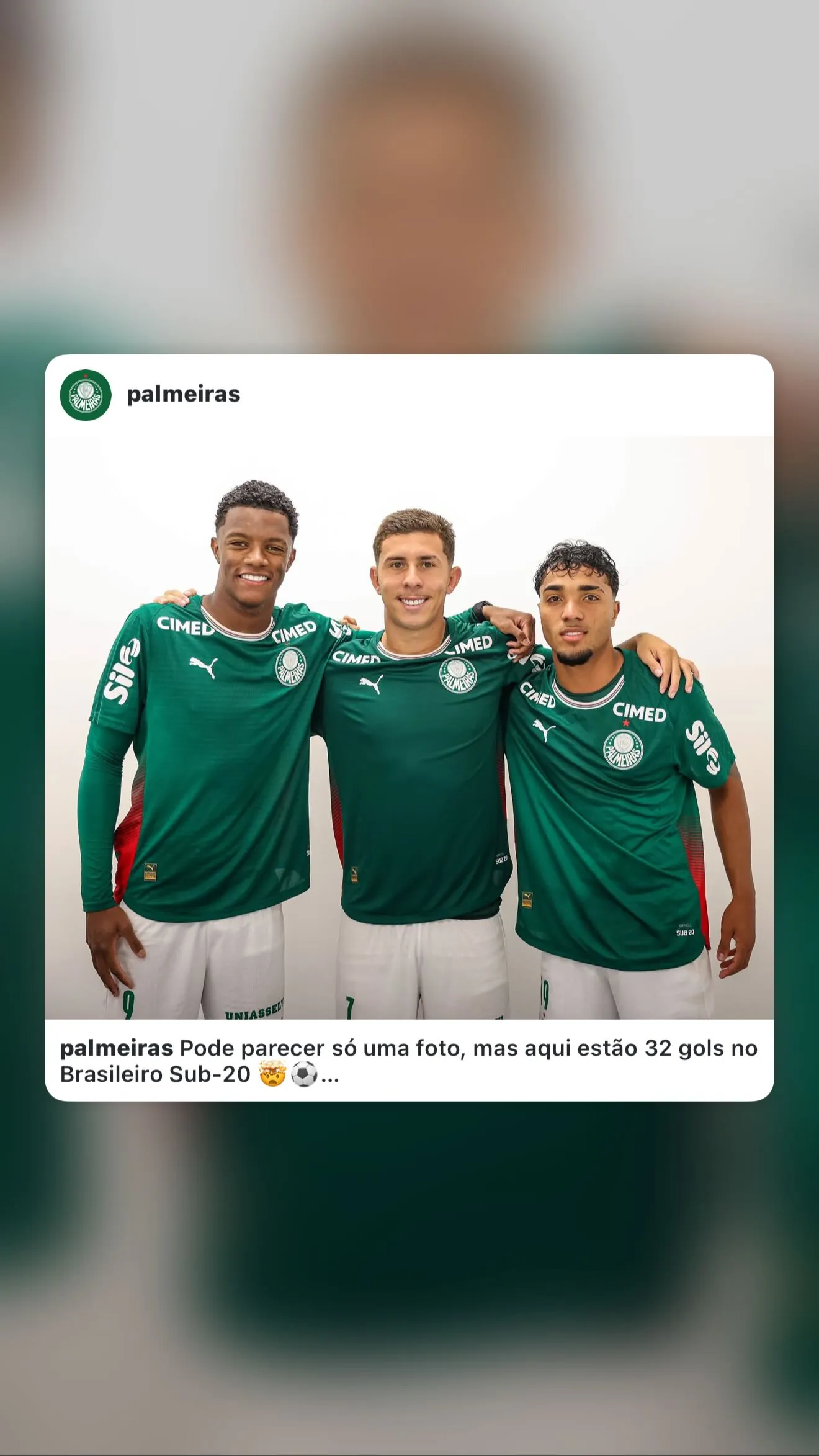 Heittor Vinicius da Silva Nunes