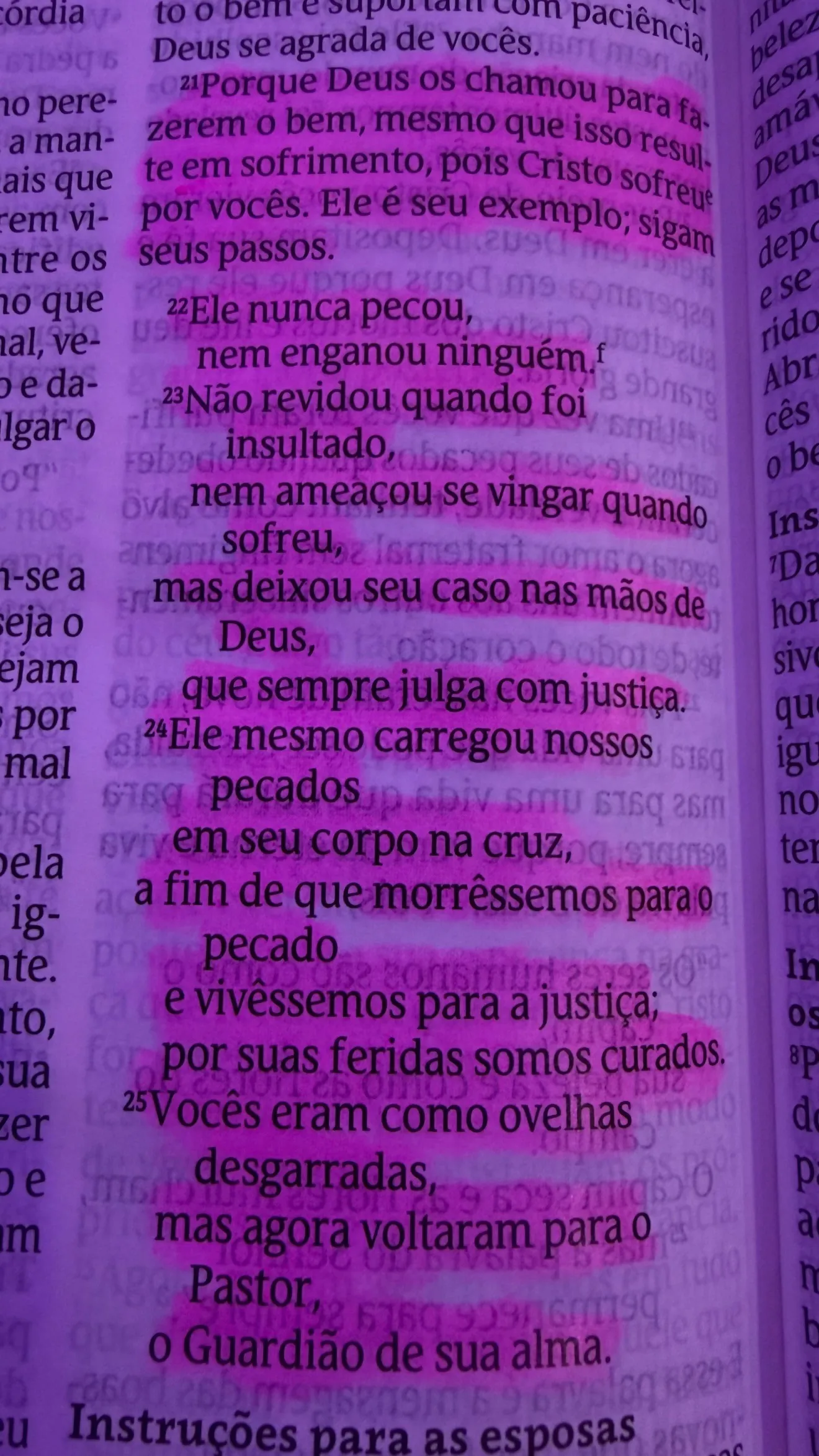 Wallace Davi Nunes da Silva Dias
