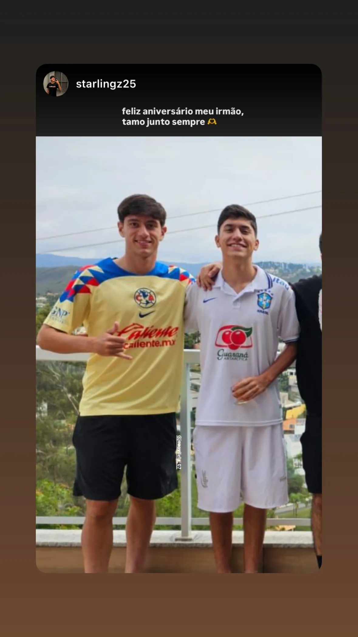 Joao Henrique Vilela Gonçalves Silva