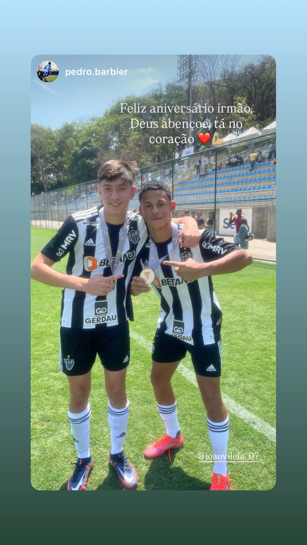 Joao Henrique Vilela Gonçalves Silva