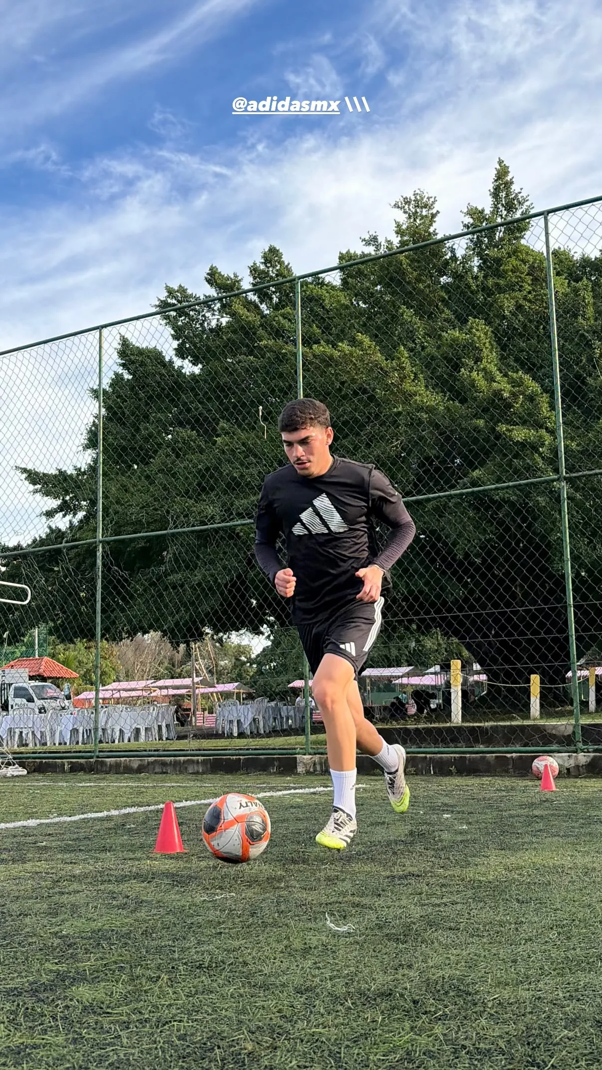 Henrique Simeone Koifman