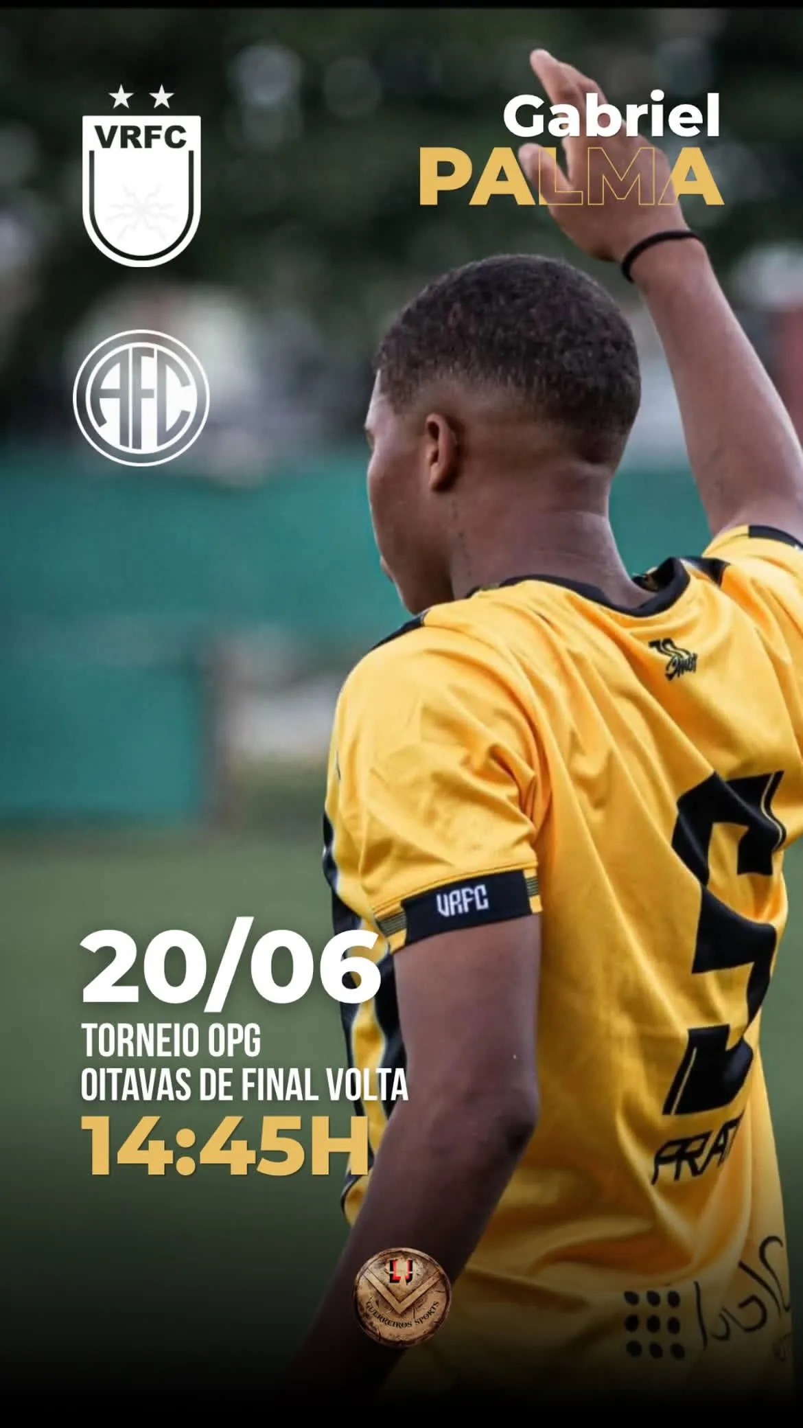 Gabriel Palma Mendes