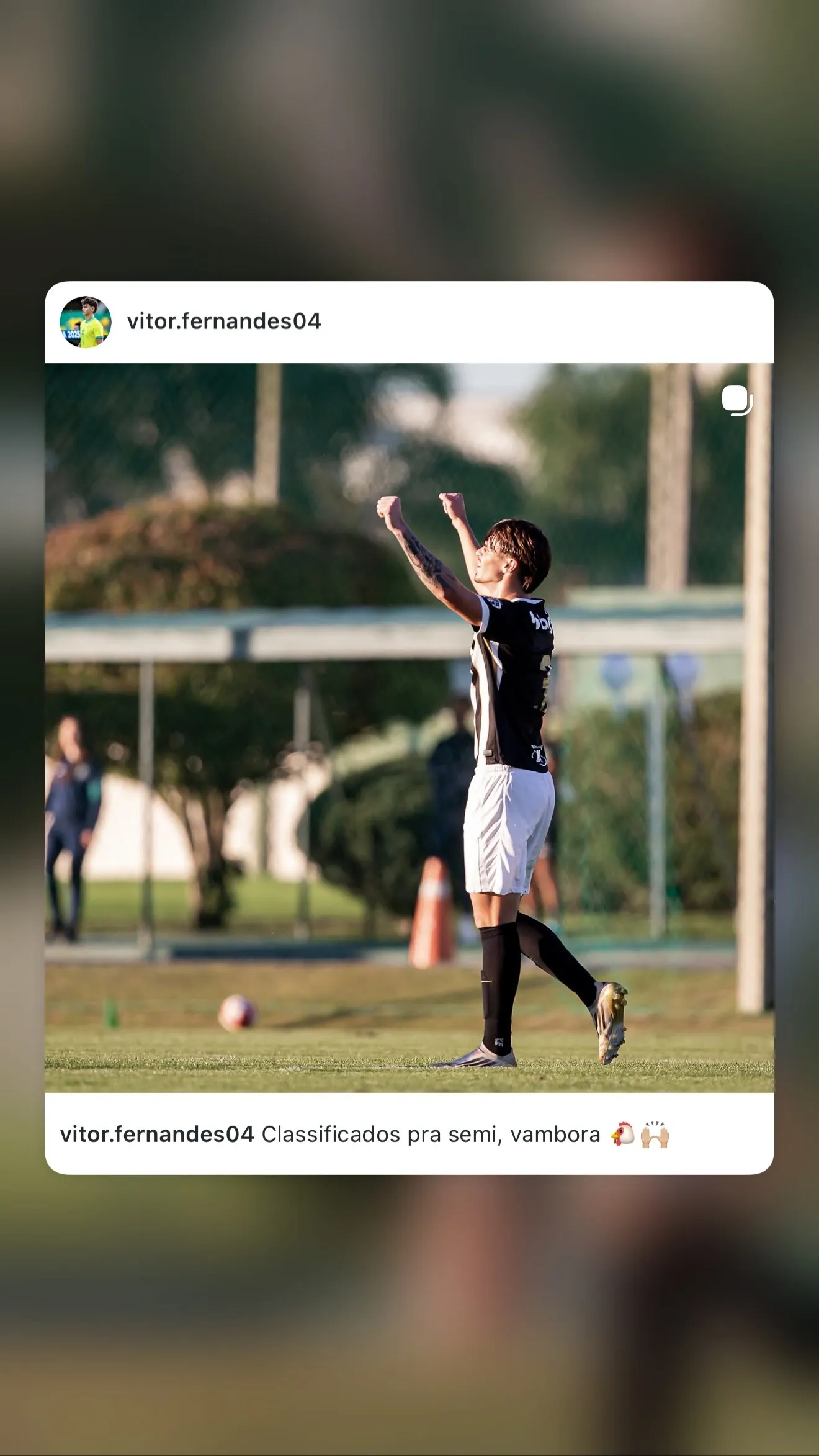 Vitor Fernandes Chaves Teixeira