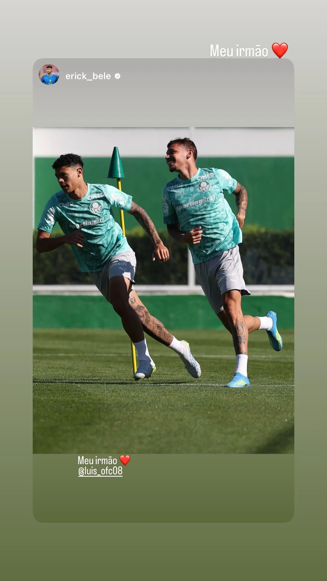 Luiz Felipe Santana Gomes