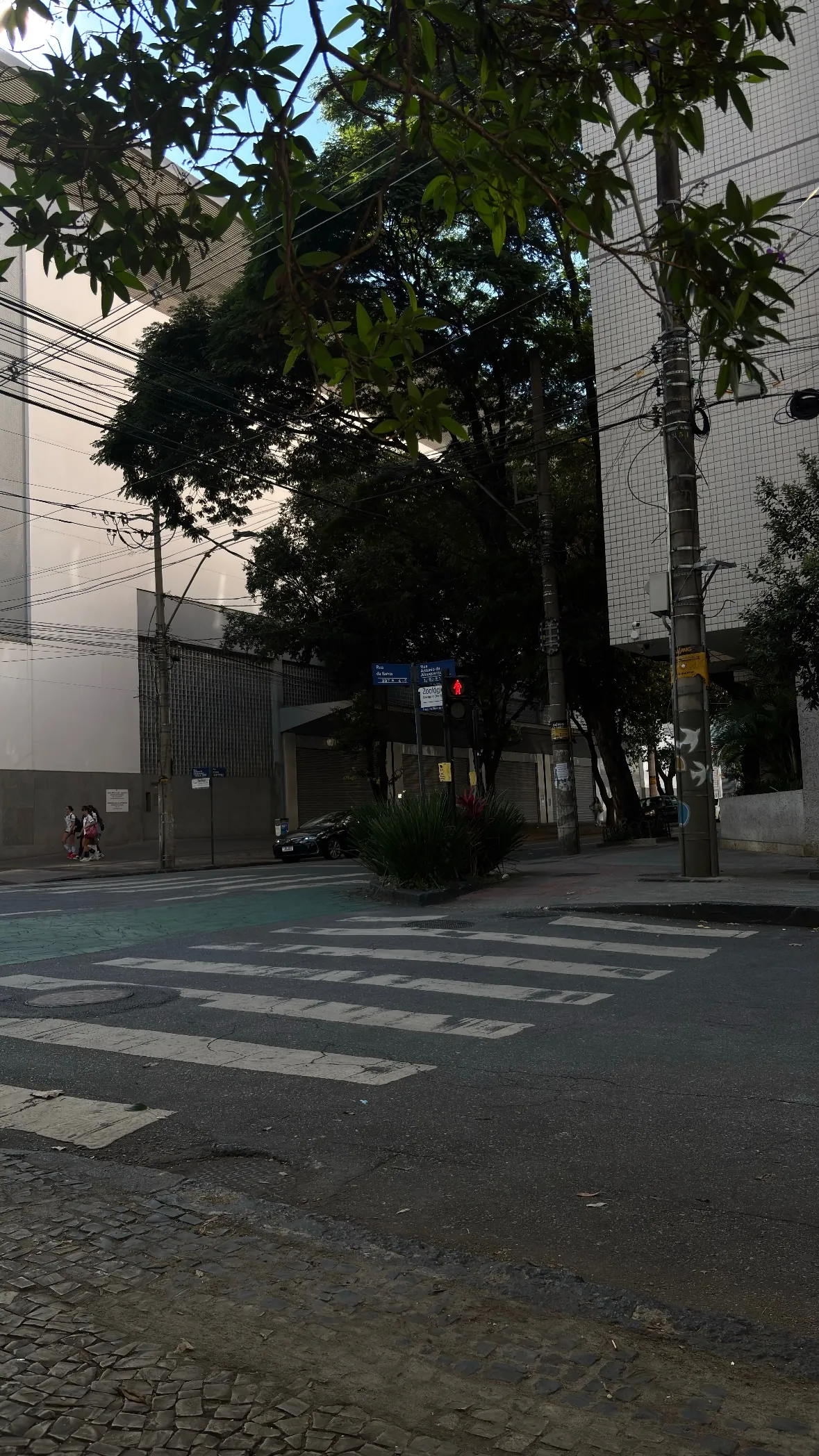 Estevan Luiz Vizcara Galleguillos