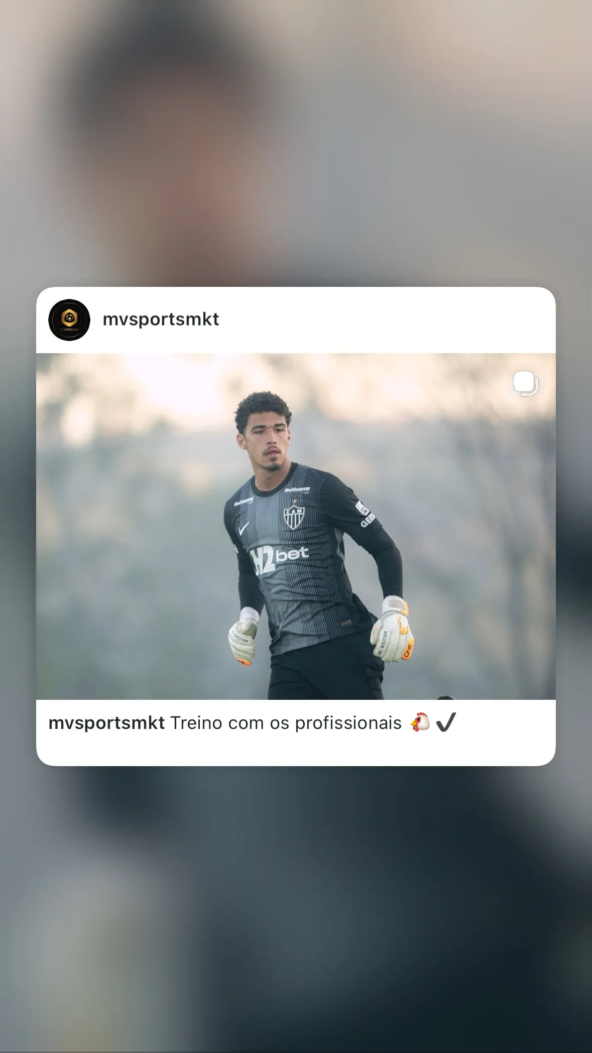 Estevan Luiz Vizcara Galleguillos
