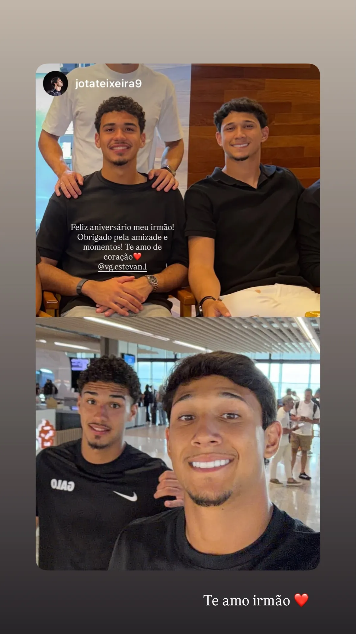 Estevan Luiz Vizcara Galleguillos