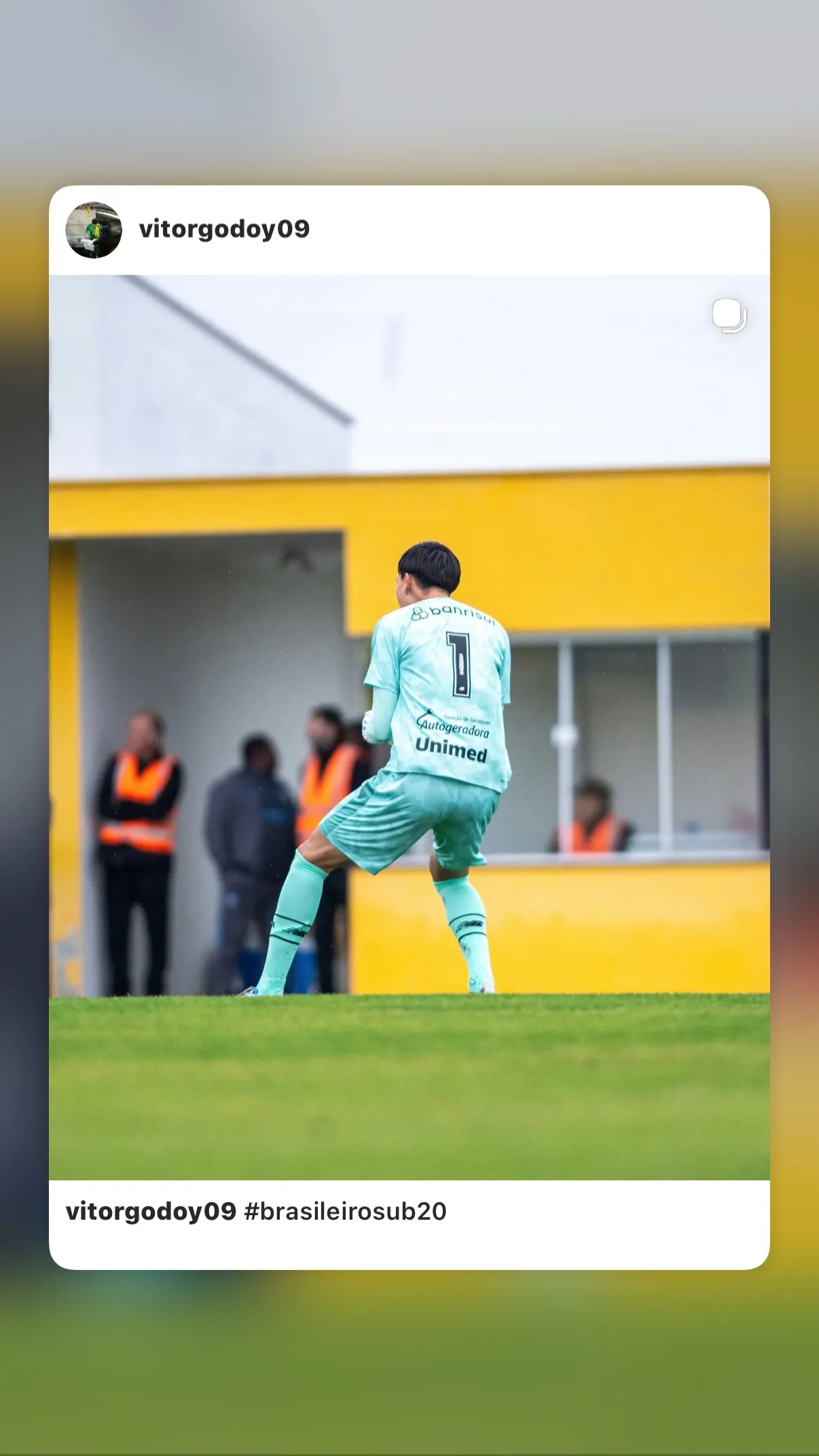 Vitor Wachter de Godoy